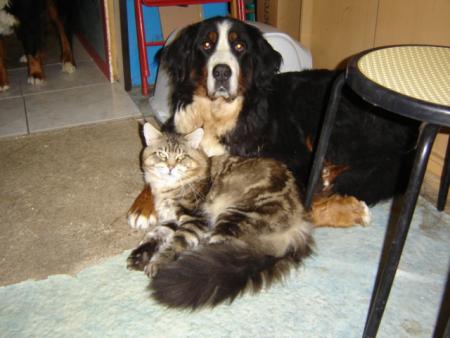 Ustinov et sa copine Okana