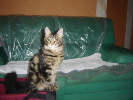 Captivation du Domaine de la P�gou